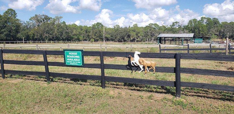 Spring Rock Farms LLC