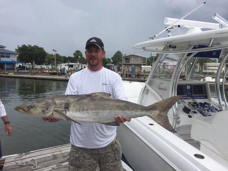 YACHTFISH Fishing Charters 🐟 | St Petersburg
