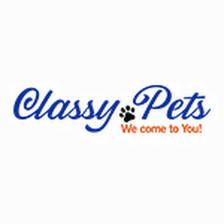 Classy Mobile Pet Grooming