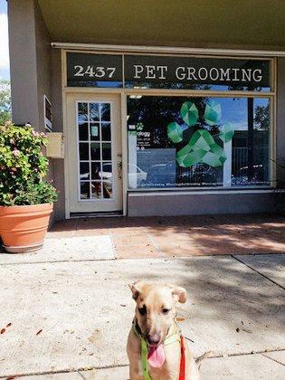 Furology Pet Grooming