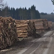 South Timber Inc.