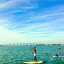 Nekton Surf Shop