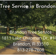 Brandon Tree Service