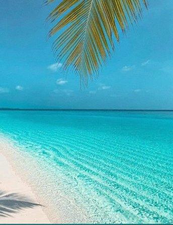 HP Travel Go-Dream Vacations
