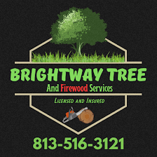 Brightway Tree and Firewood Services LLC