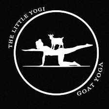 The Little Yogi - Goat Yoga Tampa