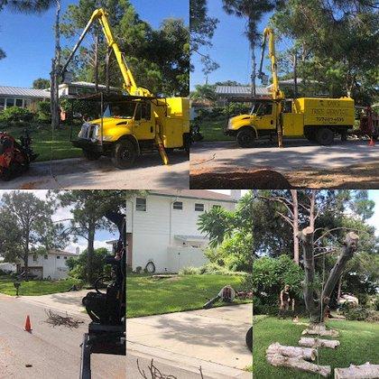 Bam's Tree Service