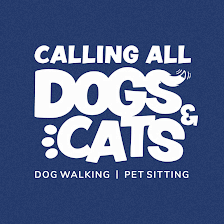 Calling All Dogs & Cats of Tampa