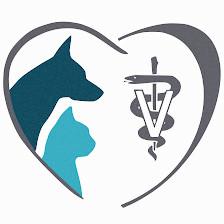 St. Pete Veterinary Hospital