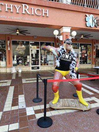 Hulk Hogan's Wrestling Shop