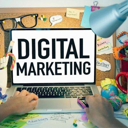 Tampa Bay SEO Experts