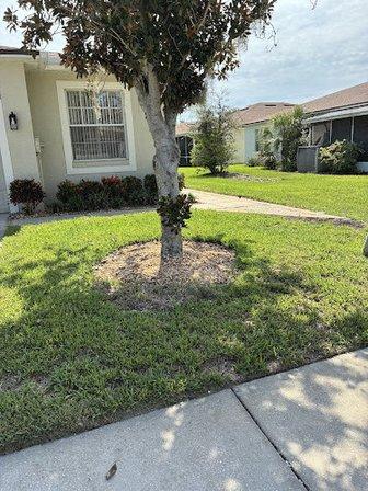 Tropical Touch Landscapes LLC