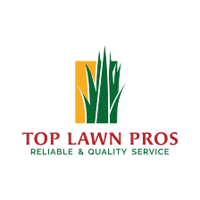Top Lawn Pros