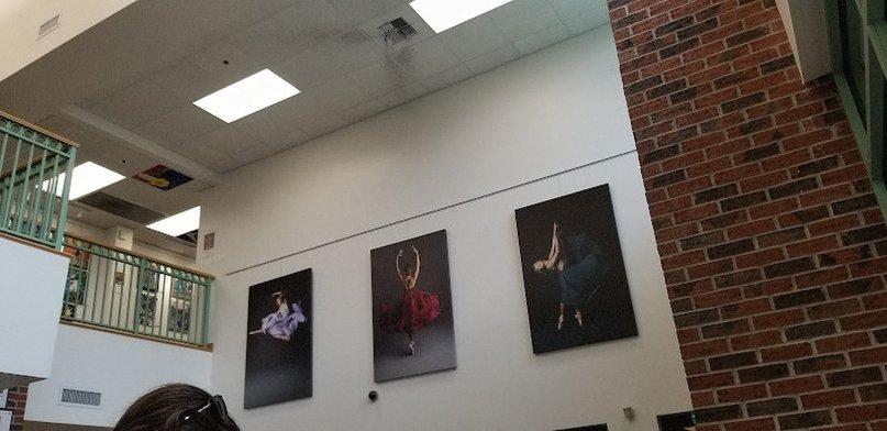 Carrollwood Cultural Center