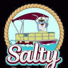 Salty Boat Rental - Madeira Beach