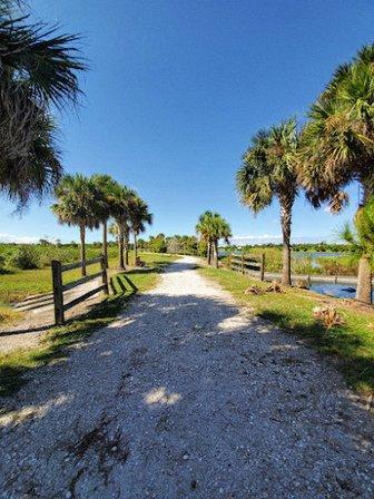 Tom Bennett Park