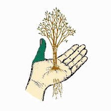 Green Thumb Nursery