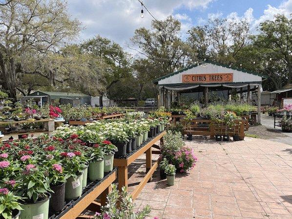Green Thumb Nursery