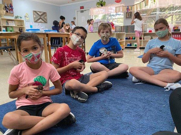 Country Day Montessori School - Carrollwood