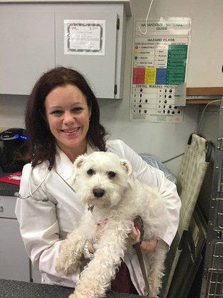 Bay Moorings Animal Hospital