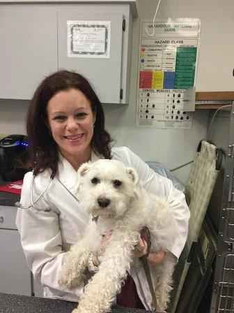 Bay Moorings Animal Hospital