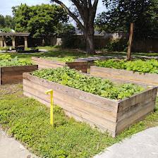 Pasco County Farmden & Community Garden