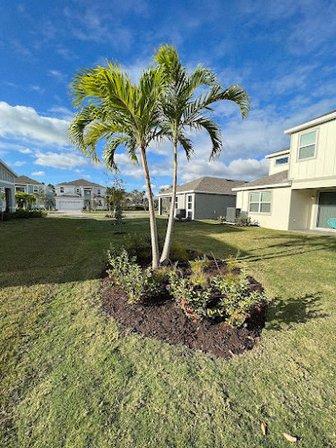 Top Lawn Pros