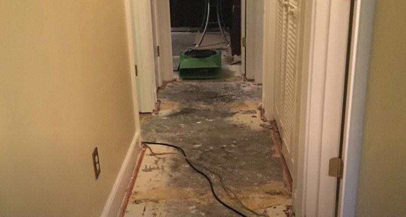 Certified Mold & Water Damage Restoration Team LLC