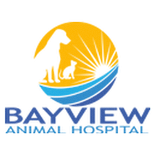 Bayview Animal Hospital