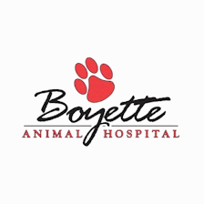 Boyette Animal Hospital
