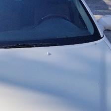 A1autoglass llc