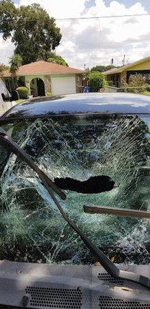 A1autoglass llc