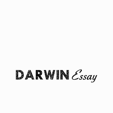 Essay Writing Service Online | Research paper writing service: DarwinEssay.net