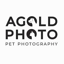 AGoldPhoto Pet Photography Studio