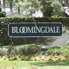 Bloomingdale Neighborhood Association