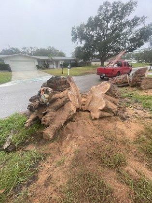 ArborGuard Tree Experts Inc