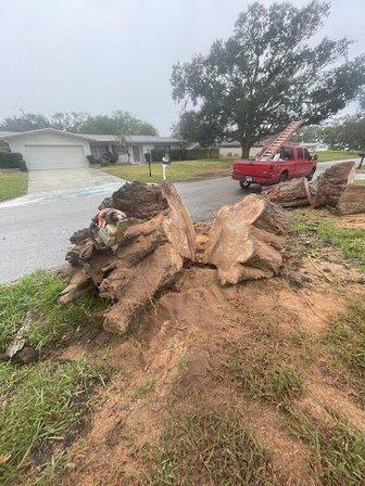 ArborGuard Tree Experts Inc