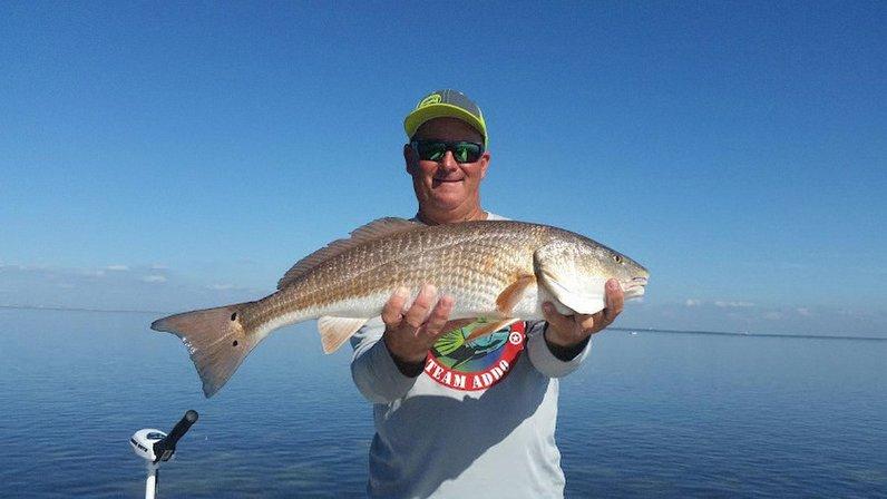 Stealth Fishing Charters of Tampa Bay