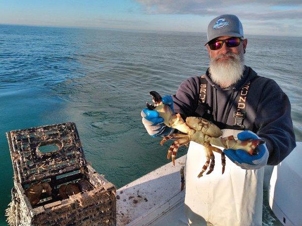 Stoned Bay Crabbing