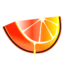 Floridian Mobile Detailing