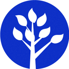 The Walters Institute