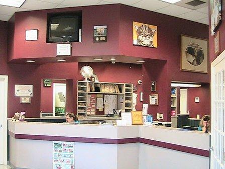 Boyette Animal Hospital