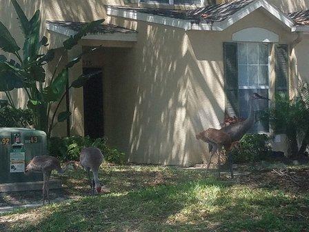 Osprey Run Homeowners Association