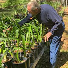 Faye's Place Plant Nursery
