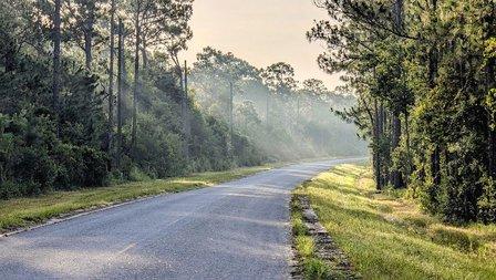 Lake Wales Ridge Wildlife and Environmental Area - Sun N Lake