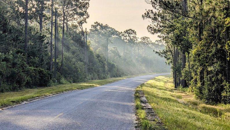 Lake Wales Ridge Wildlife and Environmental Area - Sun N Lake