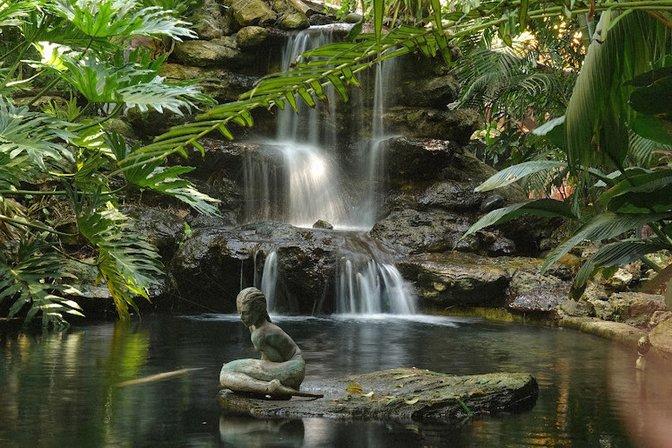 Digital Photography Classes Tampa