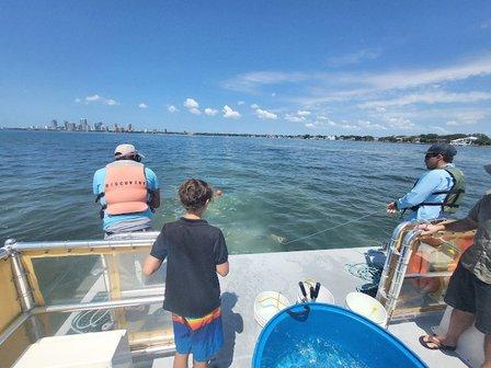Tampa Bay Watch Discovery Center Eco-Tours