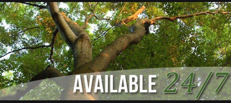 Green Giant Tree Services