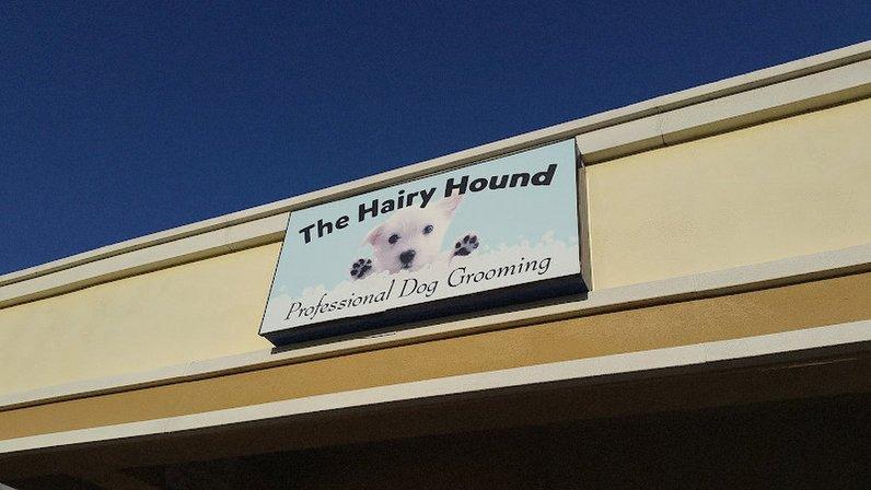 The Hairy Hound - Pet Grooming, Clearwater FL